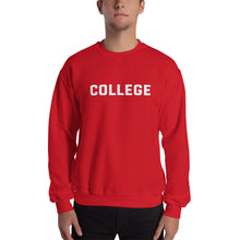 Load image into Gallery viewer, Animal House COLLEGE Sweatshirt